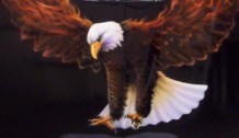 Eagle Fire Wings Hood